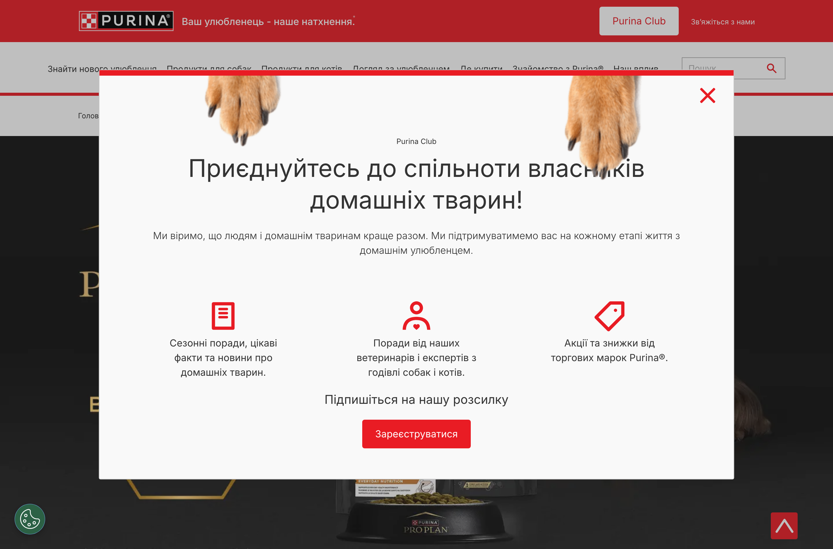 Тестовий набір PRO PLAN для собак малих порід від Purina