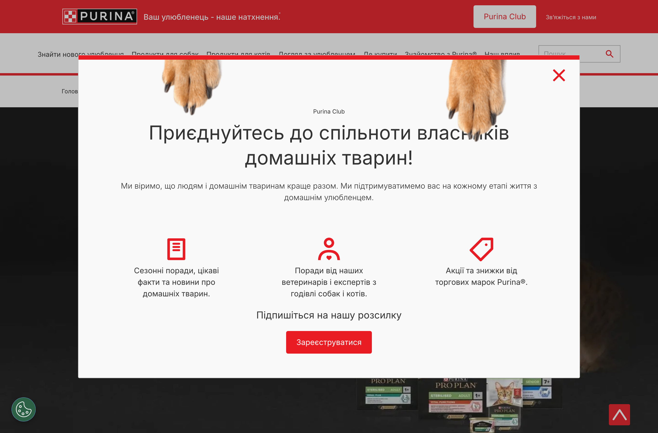 Кіт - акція безкоштовного корму Purina PRO PLAN